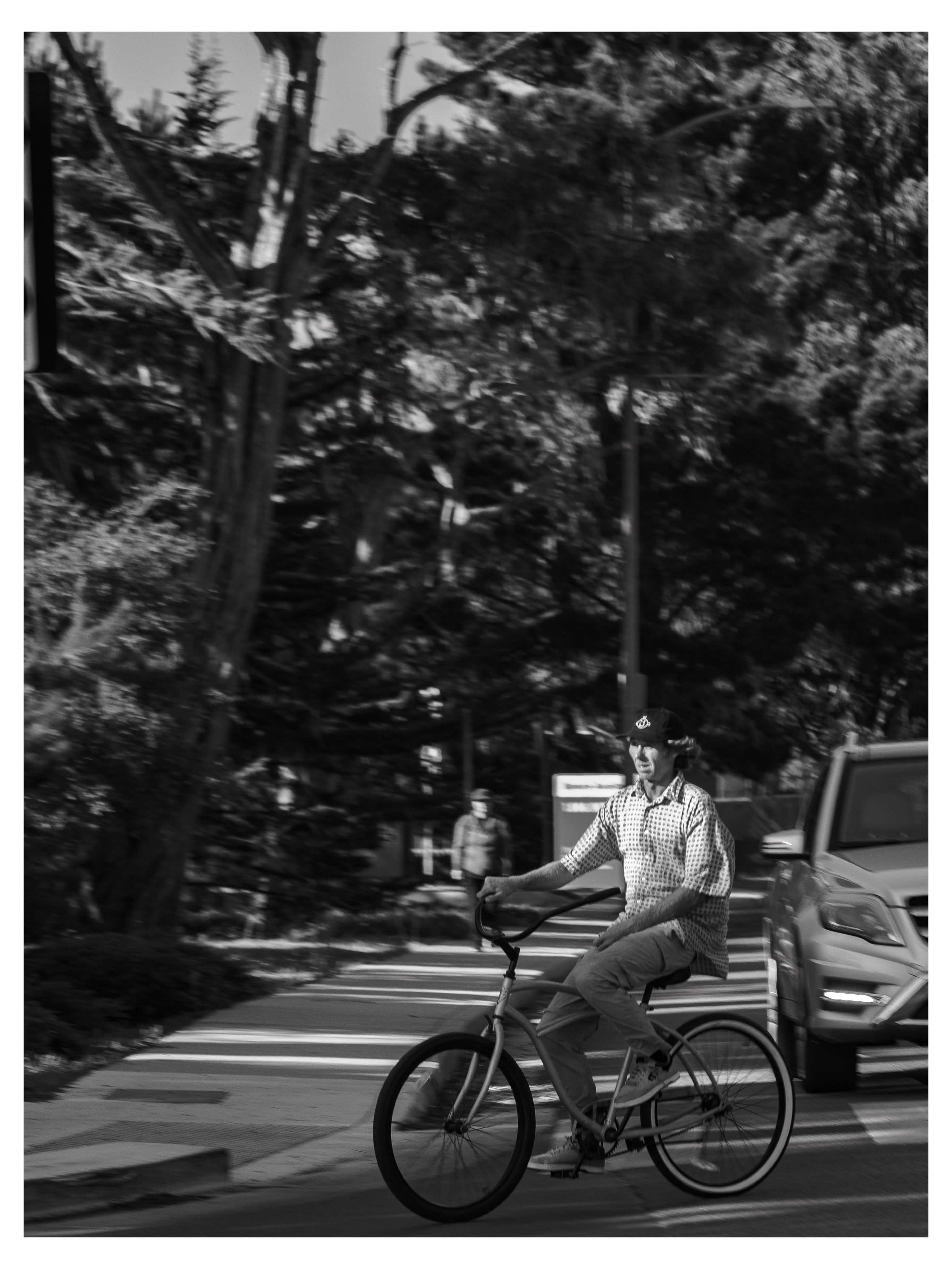 Cyclist on tree-lined street